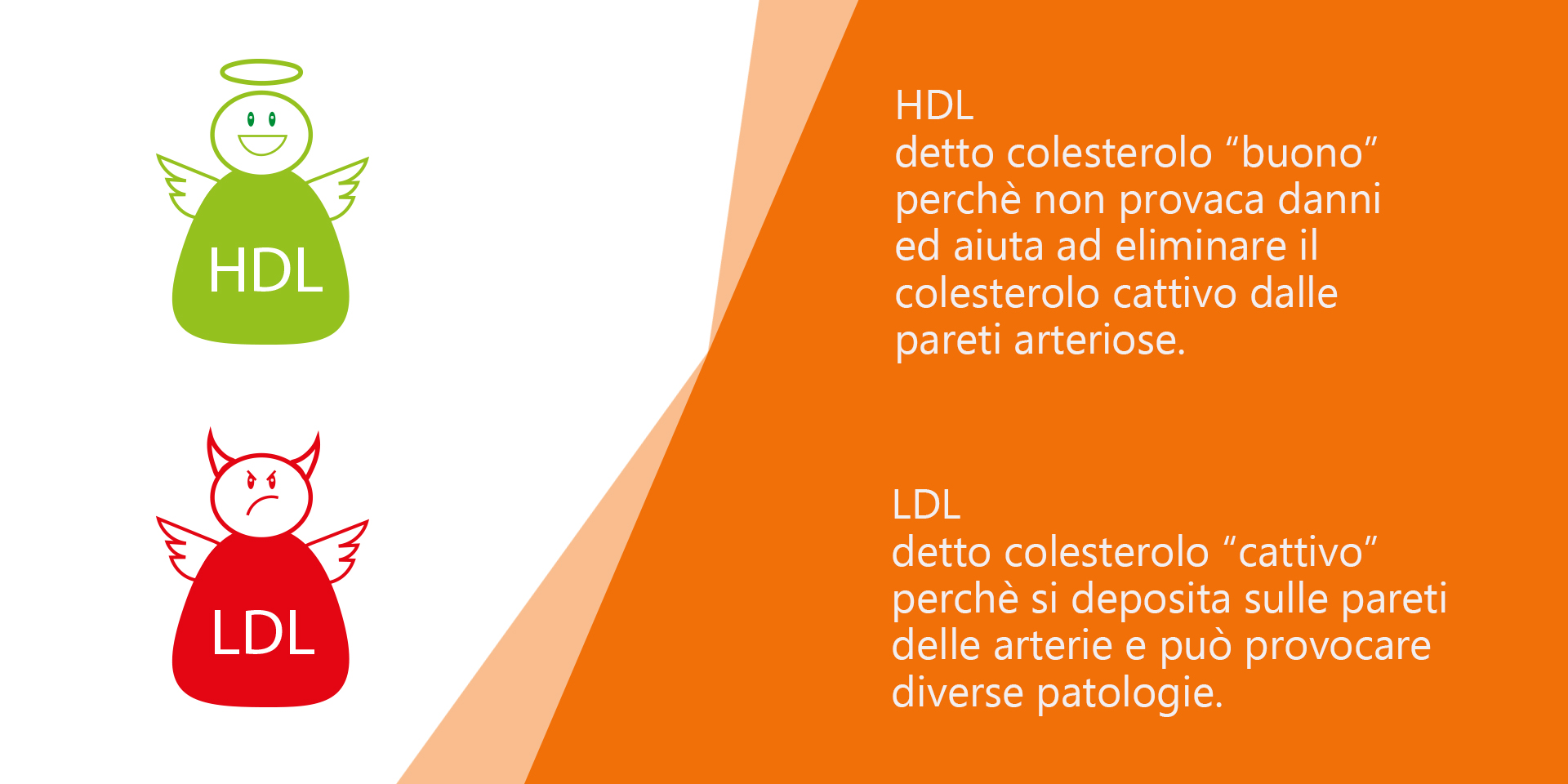 Colesterolo